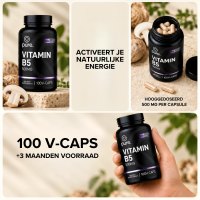 Vitamine B5 500mg
