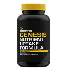 Genesis