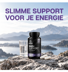 NAD+ Support