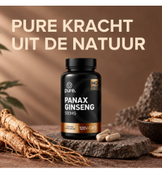 Panax Ginseng