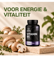 Vitamine B5 500mg