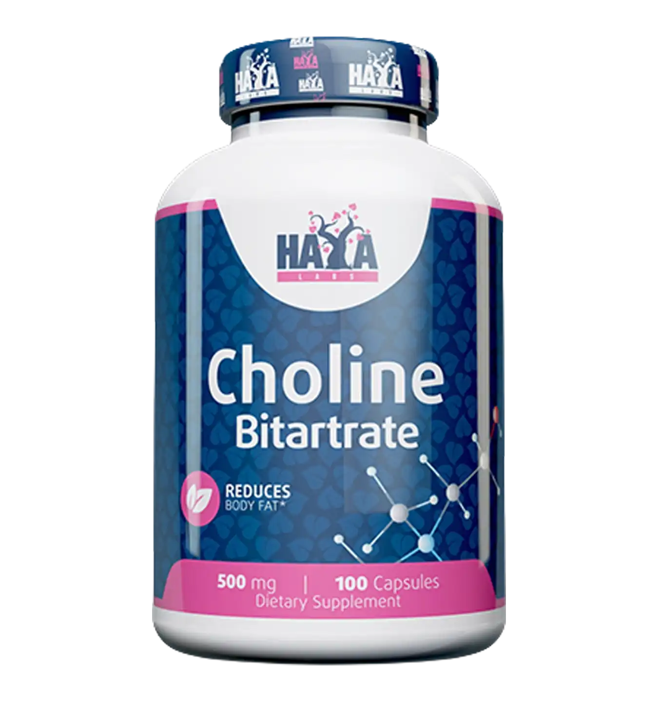 Choline Bitartrate | Haya Labs